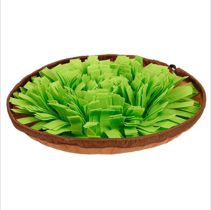 Snuffle Mat & Slow Feeder Bowl — Interactive Foraging Toy for Dogs