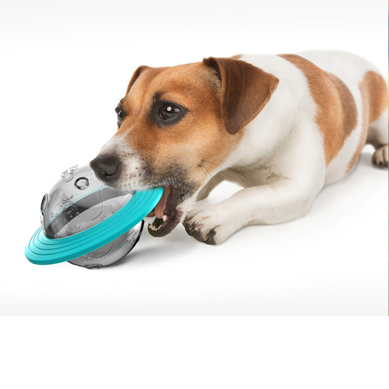 IQ Treat Ball — Interactive Slow Feeder Toy for Dogs
