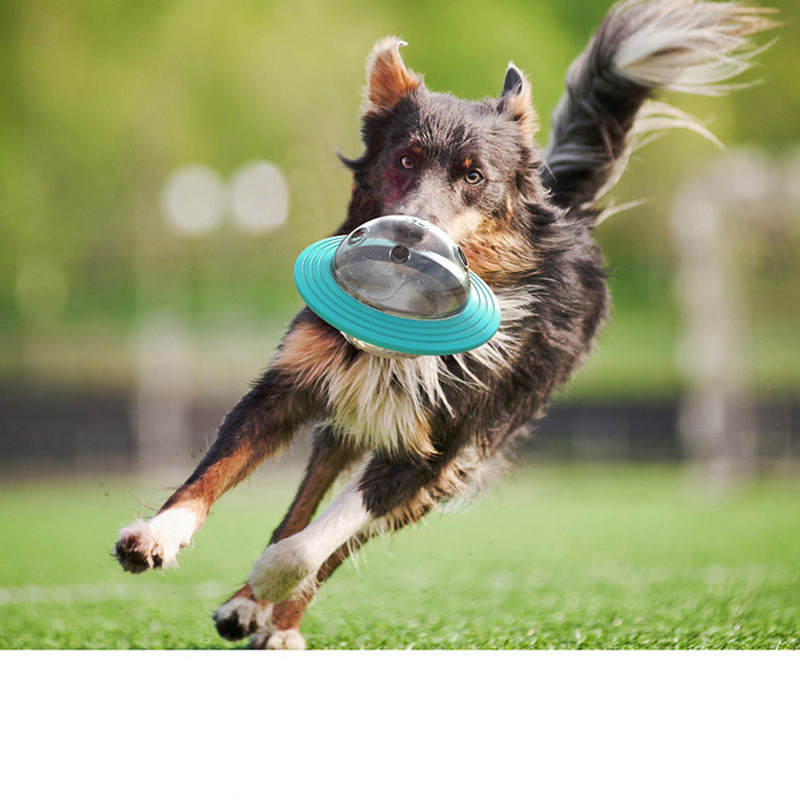 IQ Treat Ball — Interactive Slow Feeder Toy for Dogs