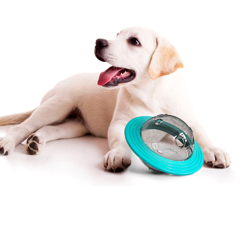 IQ Treat Ball — Interactive Slow Feeder Toy for Dogs